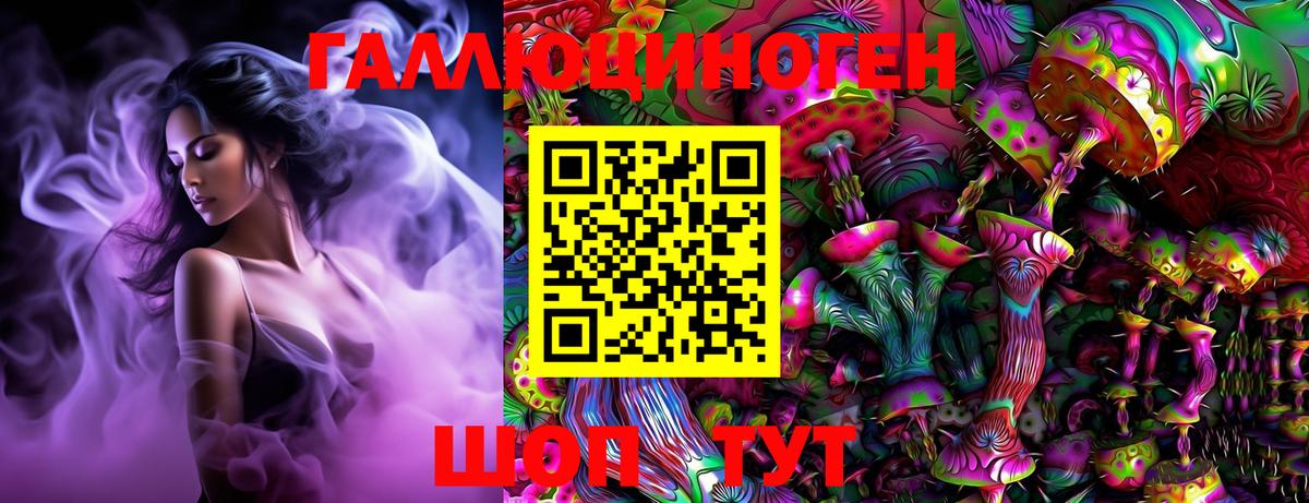 Галлюциногенные грибы Psilocybe  Армавир  Псилоцибиновые грибы мицелий 