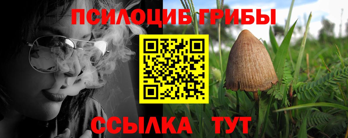 Галлюциногенные грибы Psilocybine cubensis  Галлюциногенные грибы Psilocybine cubensis  Вход с VPN  Армавир 